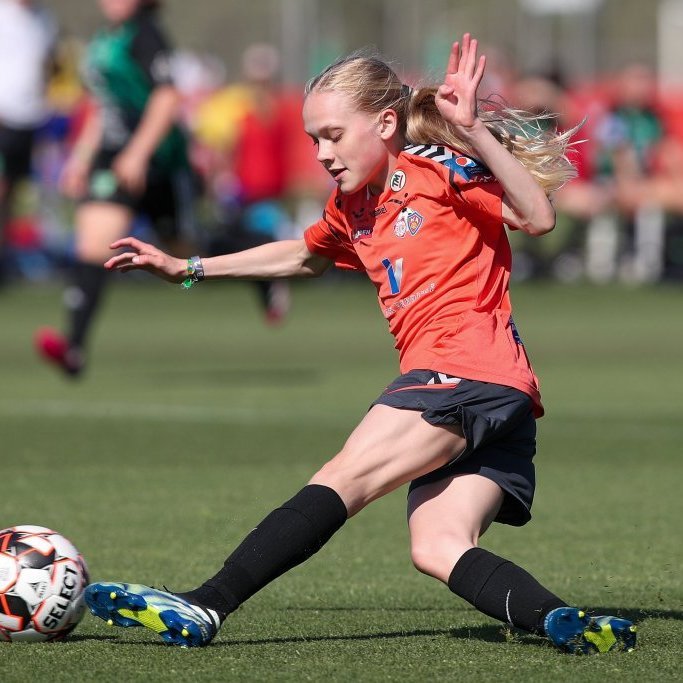 285246000_5315069355203618_1993608444179523029_n