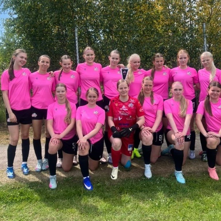 G15 - lið 3