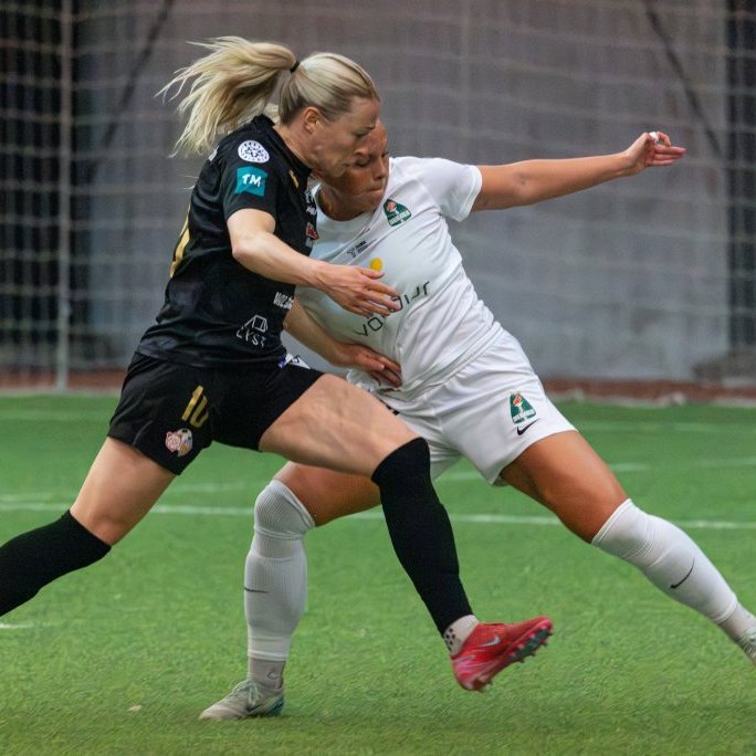 arm_2951-enhanced-nr