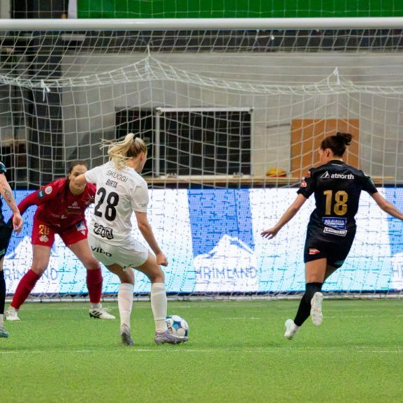 arm_2977-enhanced-nr