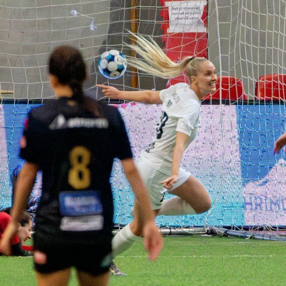 arm_2995-enhanced-nr