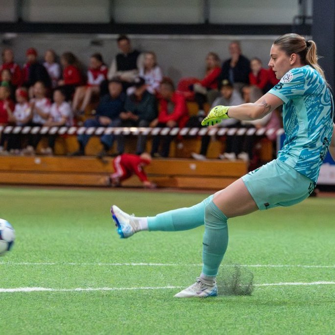 arm_3079-enhanced-nr