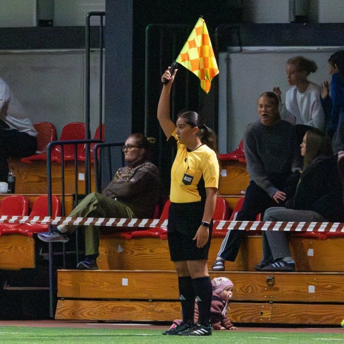 arm_3133-enhanced-nr