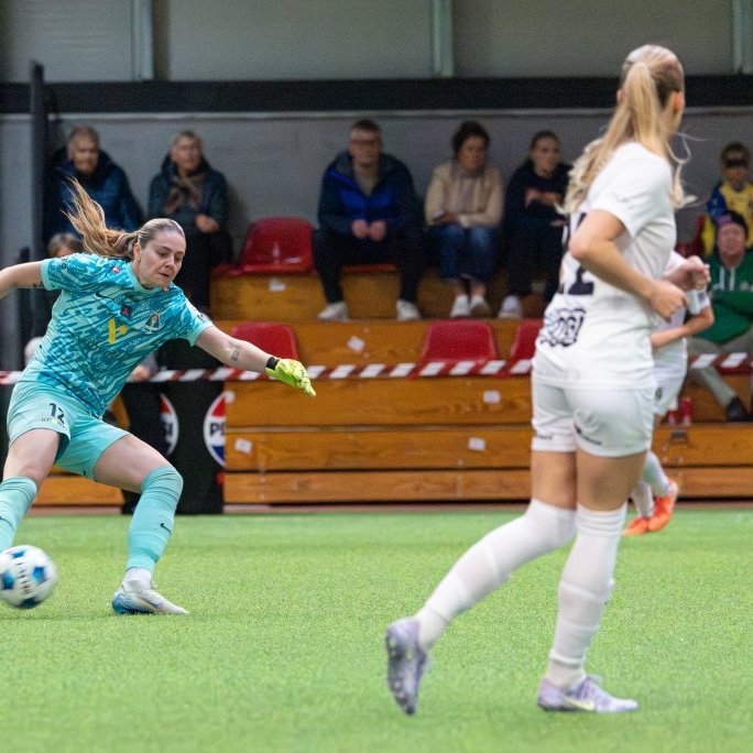 arm_3617-enhanced-nr