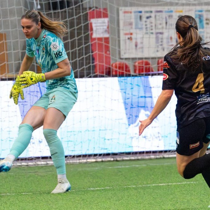 arm_3664-enhanced-nr