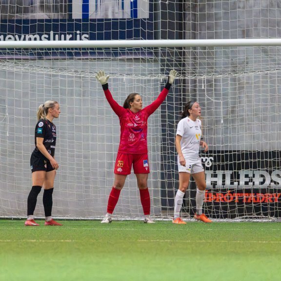 arm_3690-enhanced-nr