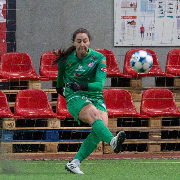 arm_9115-enhanced-nr