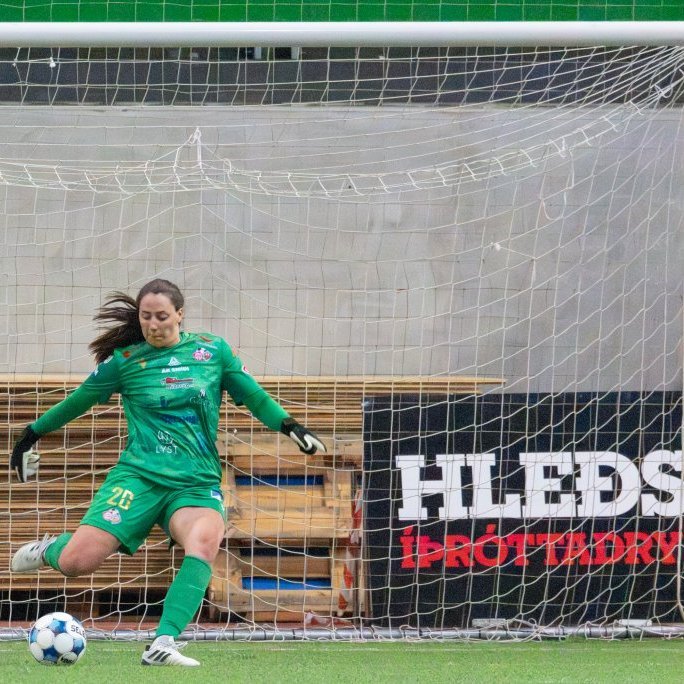 arm_9387-enhanced-nr