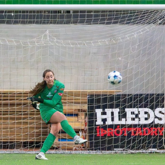 arm_9390-enhanced-nr