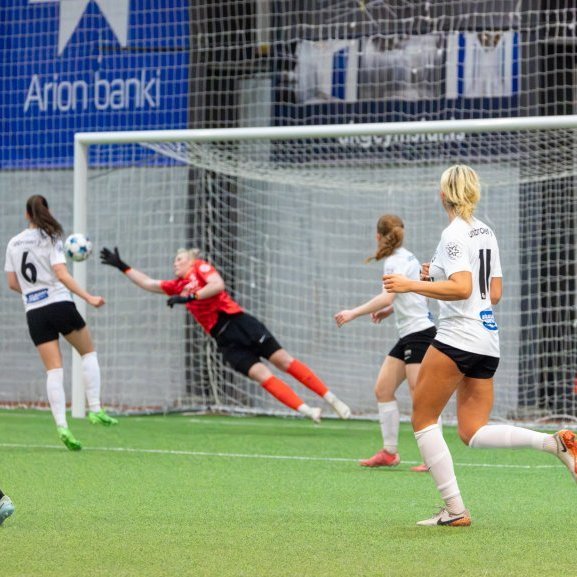 arm_9688-enhanced-nr