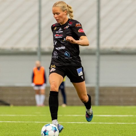 arm_9553.jpg