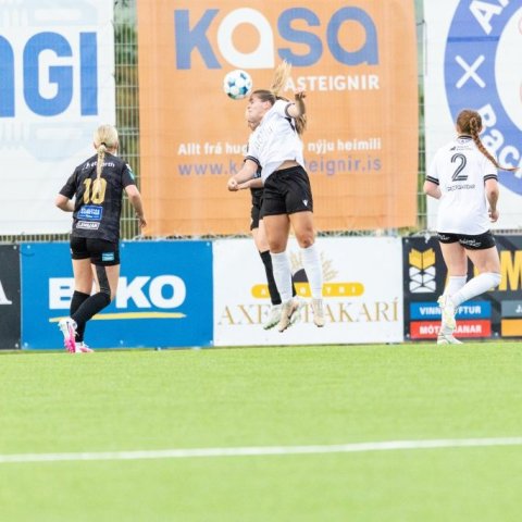 arm_1281.jpg