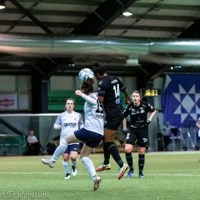 Tiffany McCarty, Vigdís Edda Friðriksdóttir