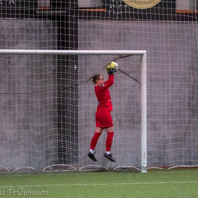 Harpa Jóhannsdóttir