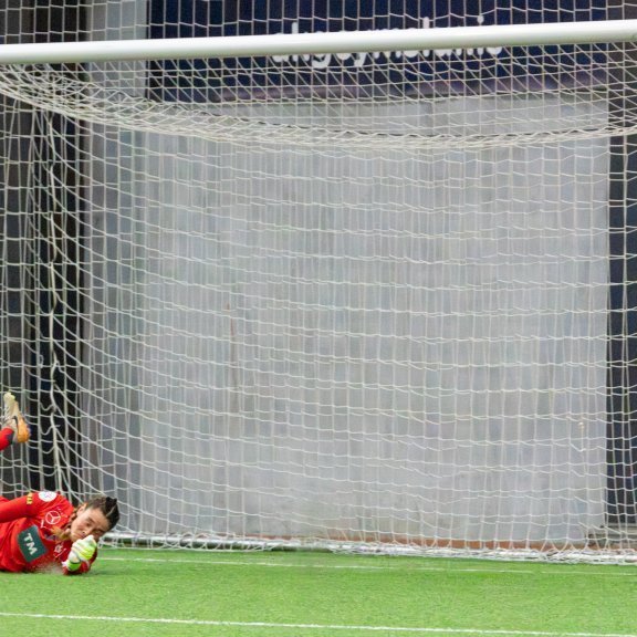 arm_0588-enhanced-nr