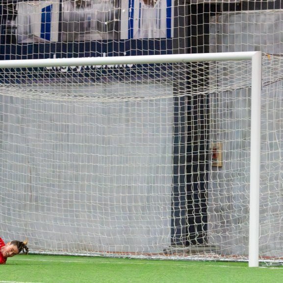 arm_0591-enhanced-nr