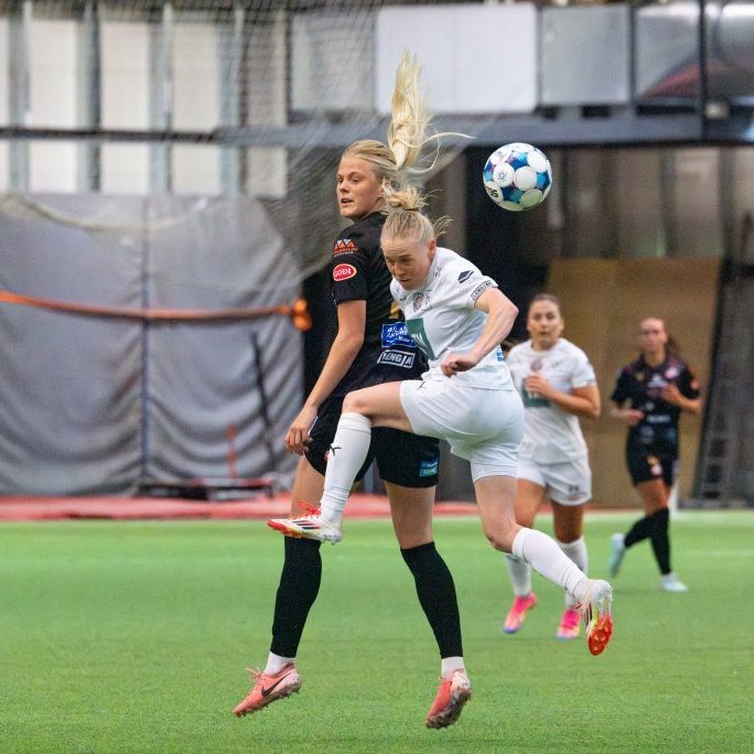 arm_0690-enhanced-nr