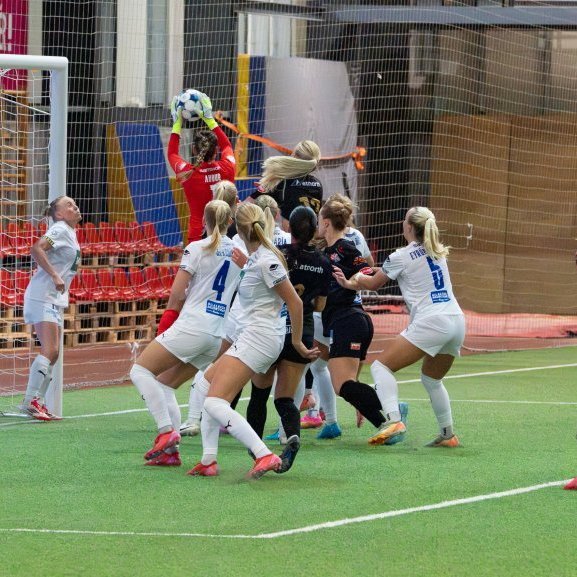 arm_1110-enhanced-nr