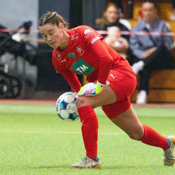 arm_1339-enhanced-nr