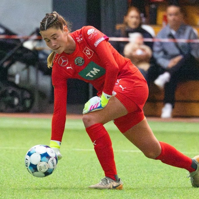 arm_1340-enhanced-nr