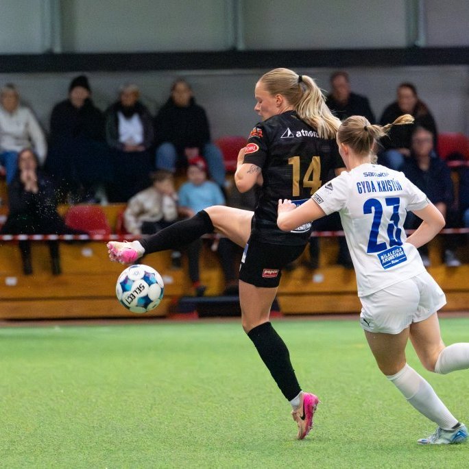 arm_1356-enhanced-nr