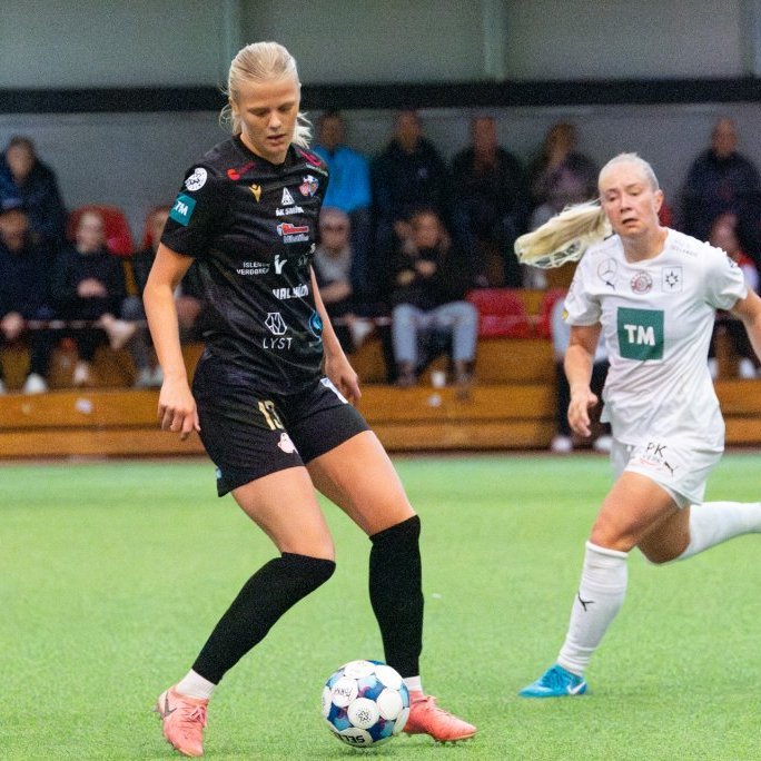 arm_1365-enhanced-nr