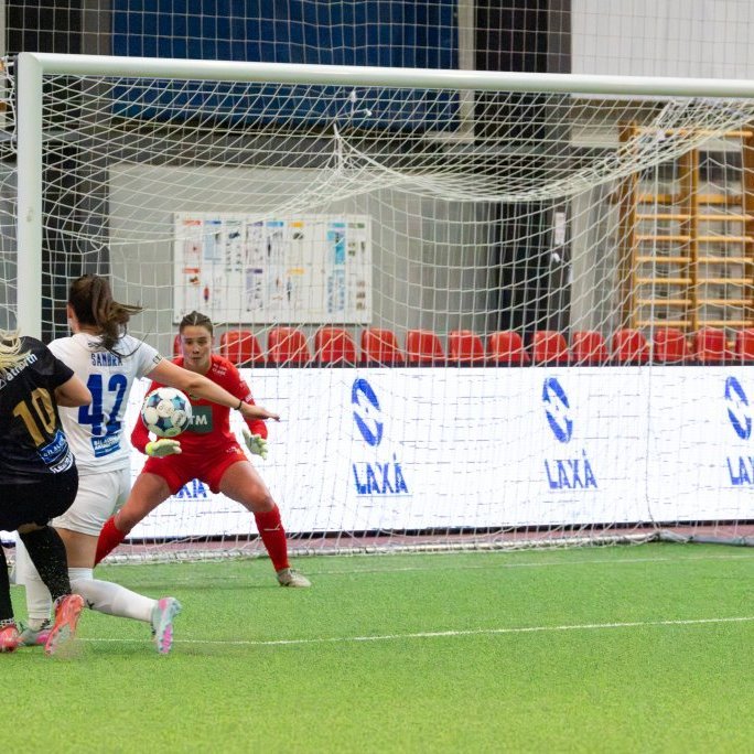 arm_1397-enhanced-nr