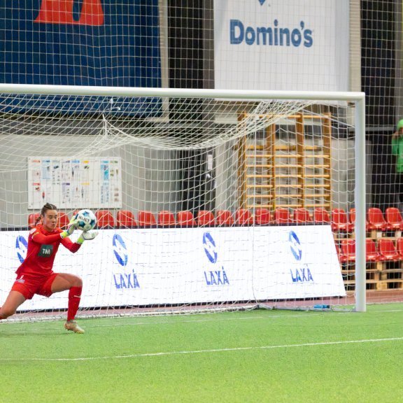 arm_1399-enhanced-nr