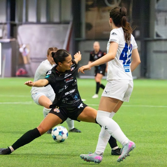 arm_1593-enhanced-nr