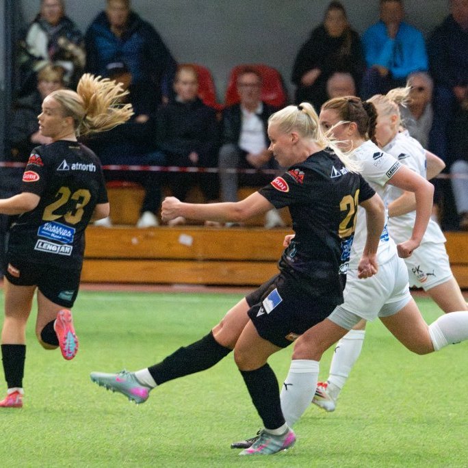 arm_1676-enhanced-nr