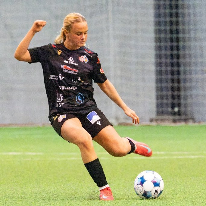 arm_1871-enhanced-nr