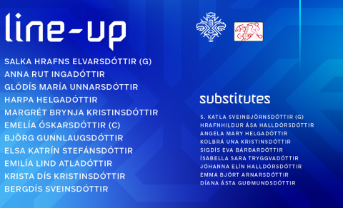 Hópurinn gegn Sviss í dag.