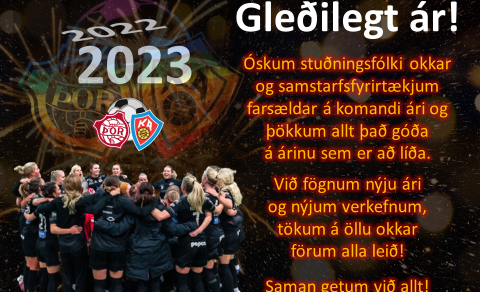 Gleðilegt ár!