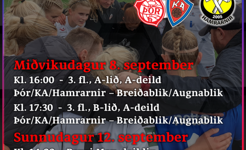 Lokaleikir 3. flokks